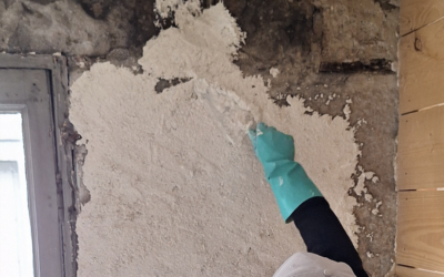 Développement durable et chantier participatif écologique – Formation civique et citoyenne